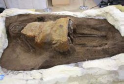 金井東裏遺跡の甲（よろい）人骨